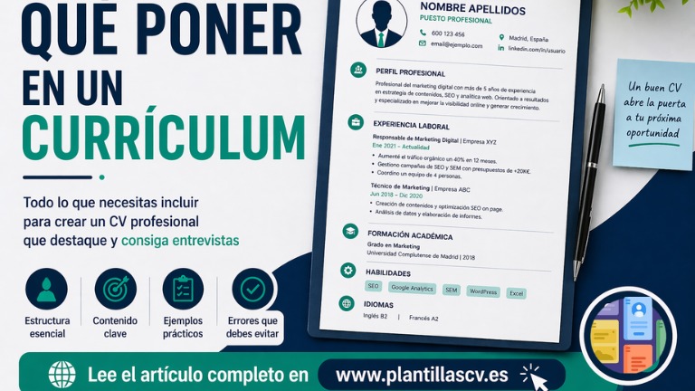 Qué poner en un currículum guía completa
